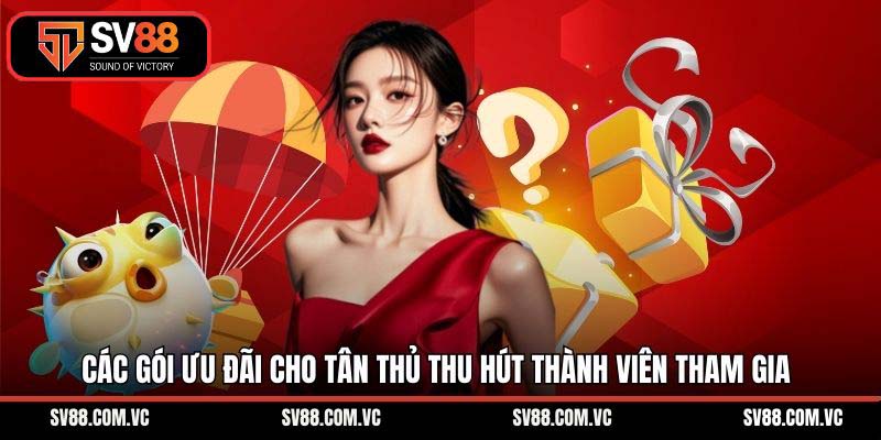 Các gói ưu đãi cho tân thủ thu hút thành viên tham gia