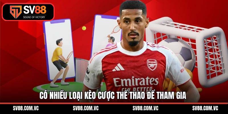 Có nhiều loại kèo cược thể thao để tham gia