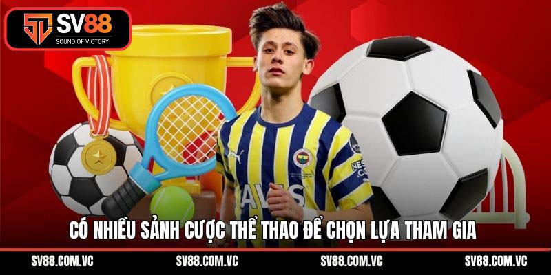 Có nhiều sảnh cược thể thao để chọn lựa tham gia